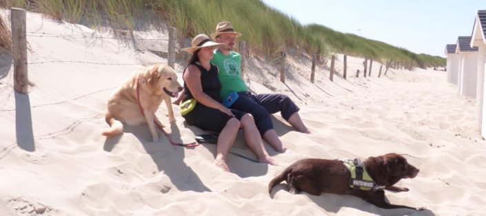 Strand, Hüfttasche, Brieftasche für die Reise, Hunde, Urlaub, Sonne